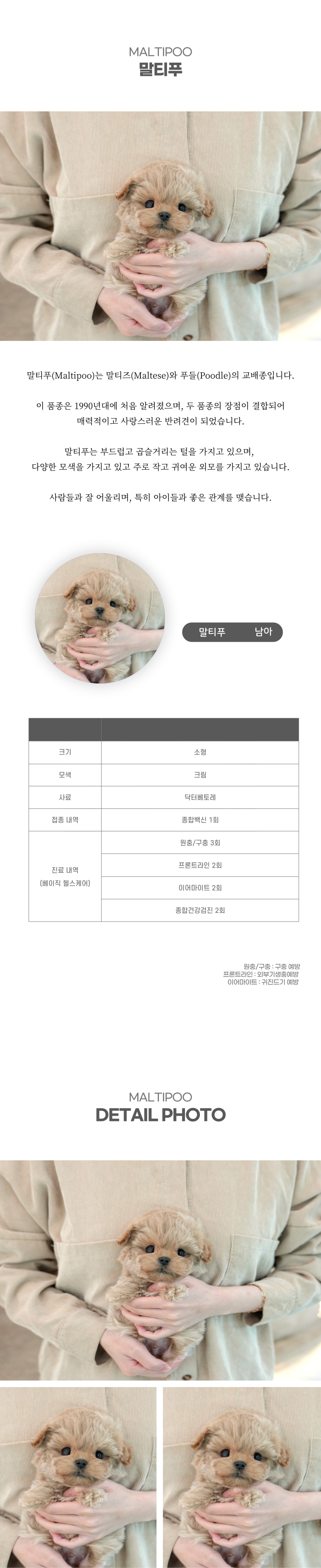 말티푸_상세이미지_2